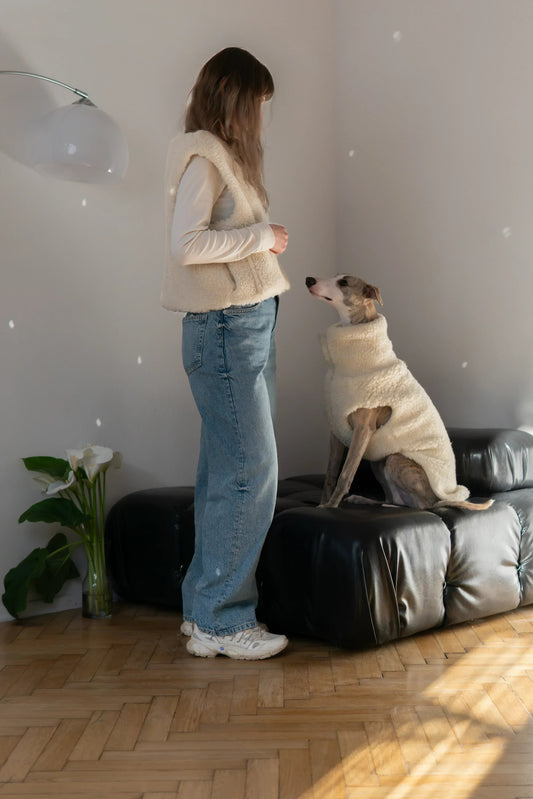 Woolen Dog Vest - Light Grey