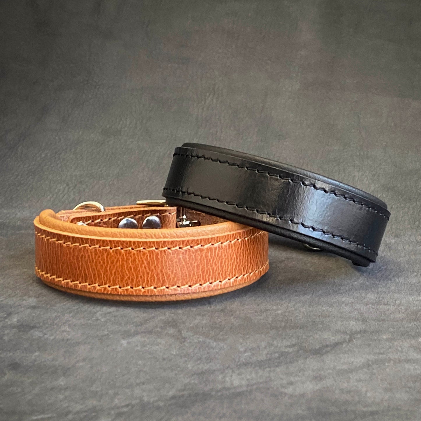 Clean Puppy Collar