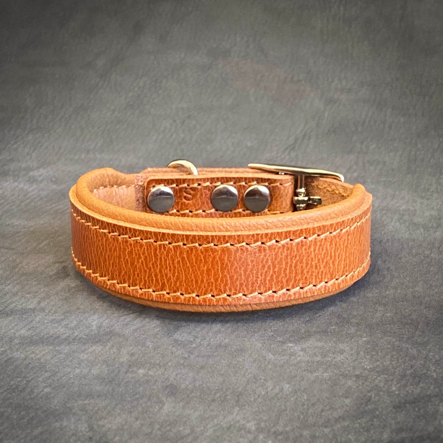 Clean Puppy Collar