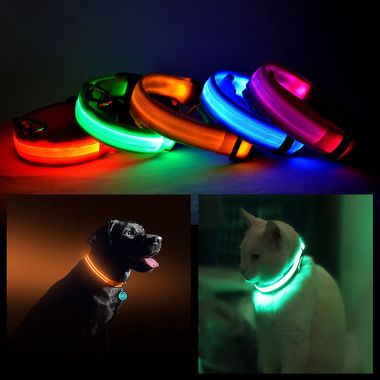 Collier LED rechargeable