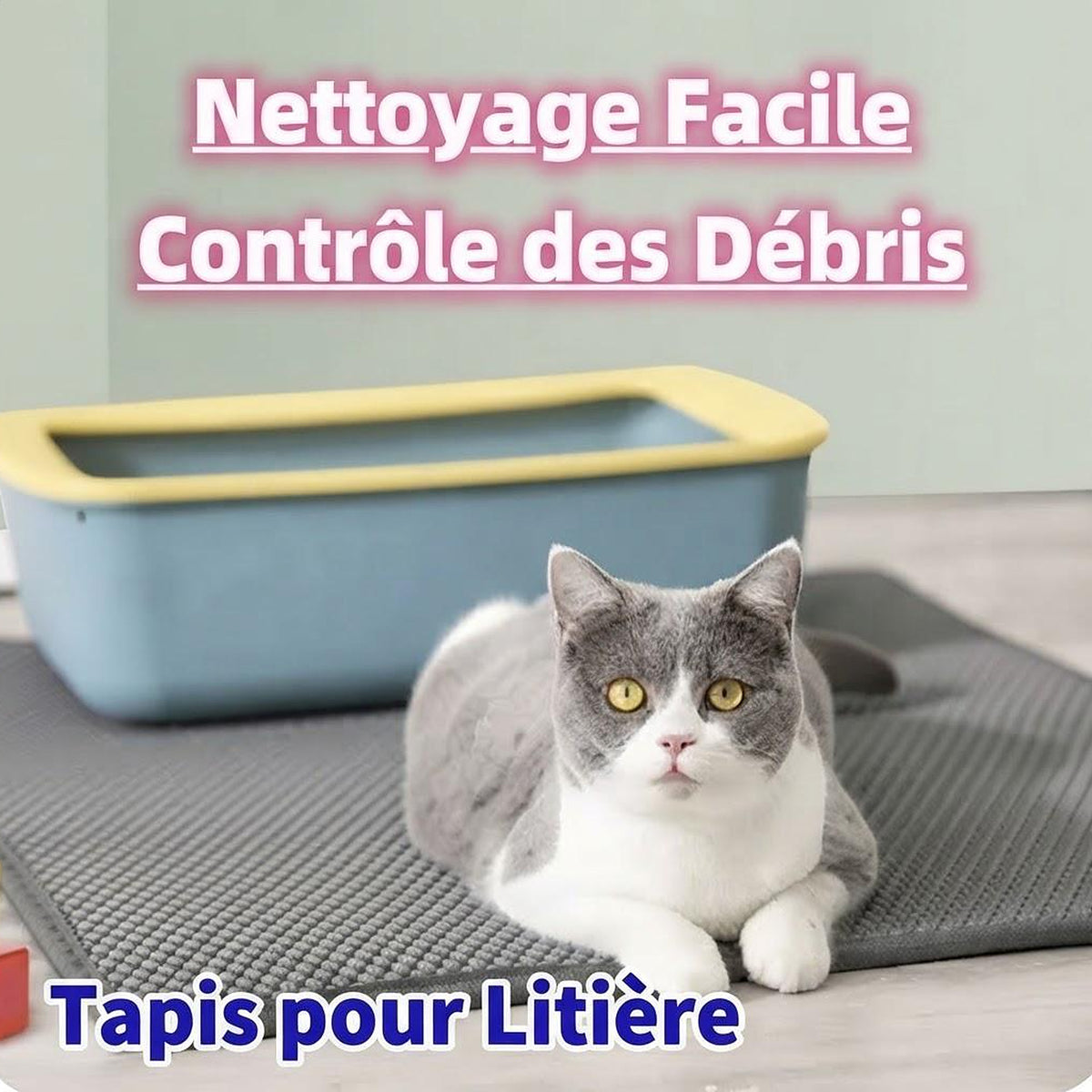 Tapis de litière anti-traces