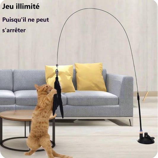 Canne à pêche pour chat