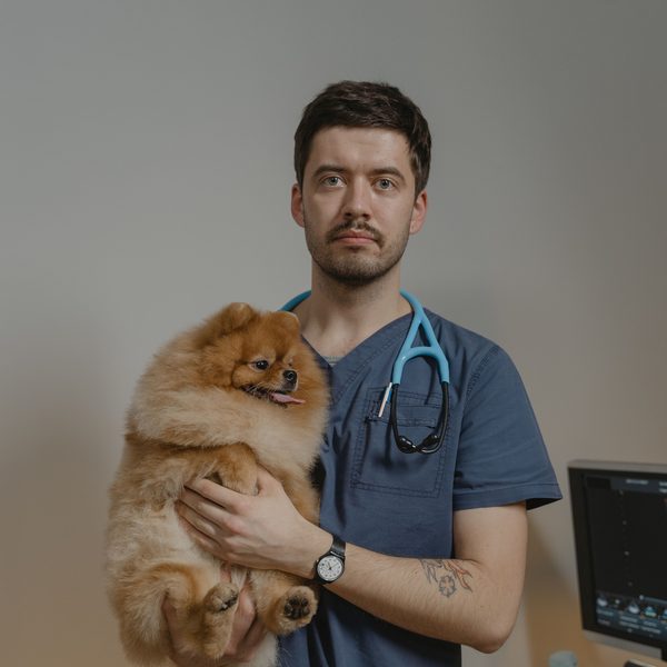Dr Antoine Roux